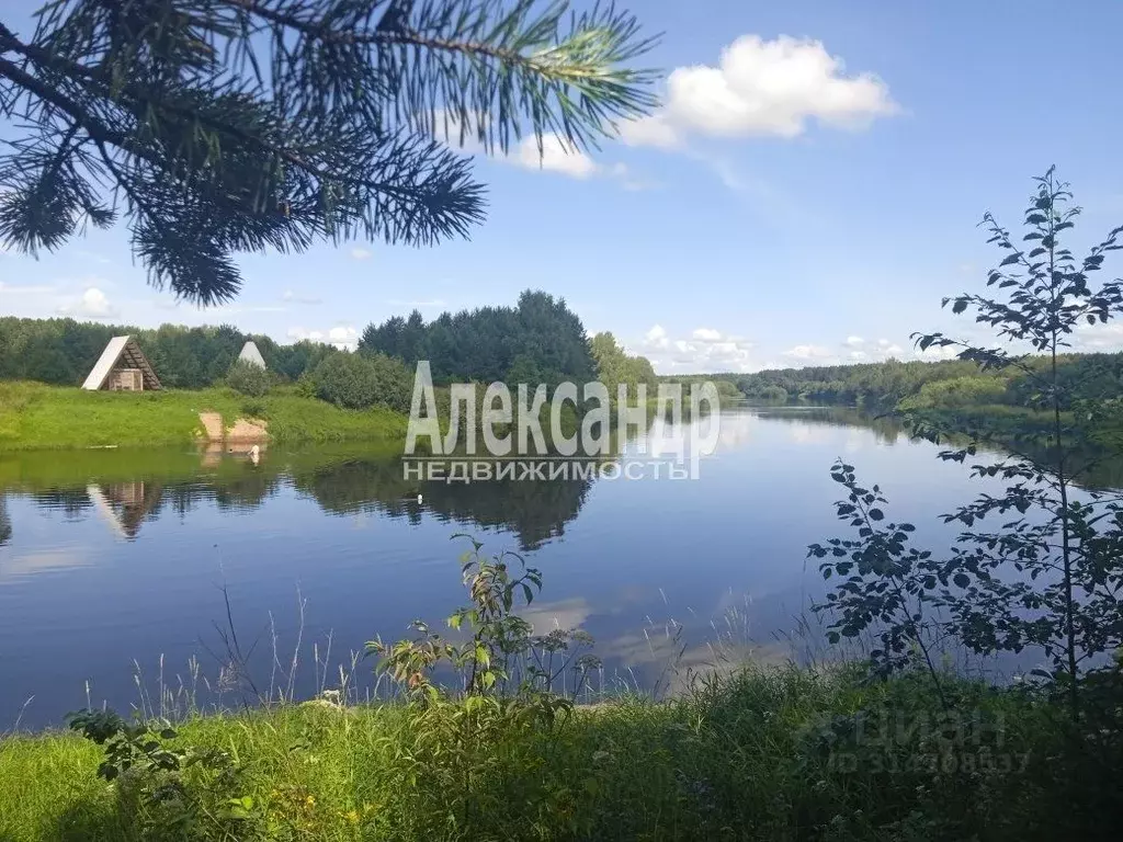 Участок в Ленинградская область, Лодейнопольский район, Алеховщинское ... - Фото 0