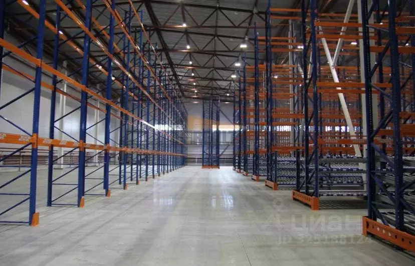 Склад в Московская область, Богородский городской округ, д. Новые ... - Фото 1