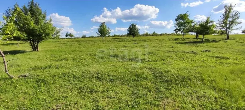 Участок в Воронежская область, Рамонский район, с. Русская Гвоздевка  ... - Фото 1