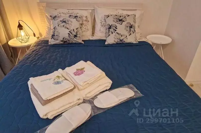 1-к кв. Калининградская область, Калининград Ленинский просп., 39А ... - Фото 2