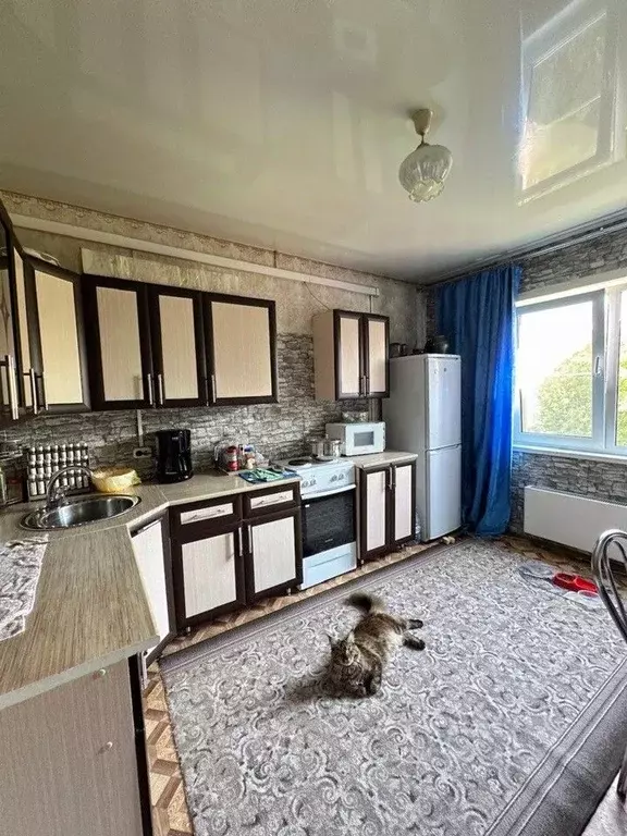 2-к кв. Кемеровская область, Прокопьевск Углекопская ул., 33 (49.5 м) - Фото 0