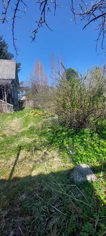Дача 54 м на участке 6 сот. - Фото 1