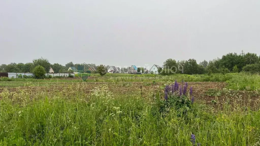 Участок, 24 сот., 0 - Фото 1