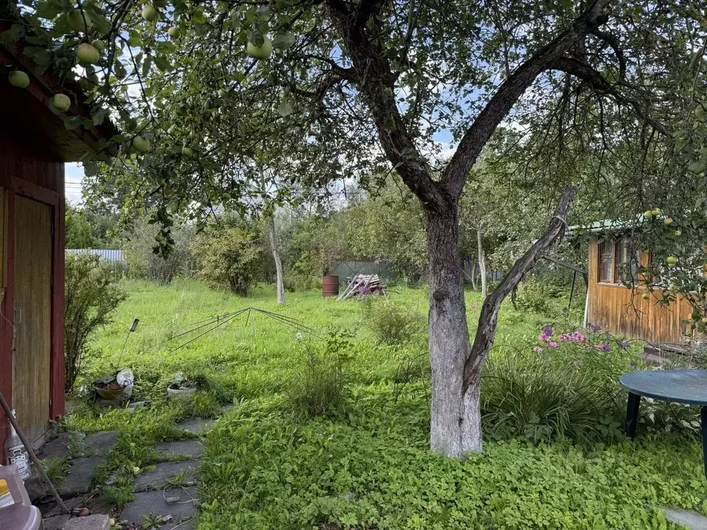 Дом в Калужская область, Боровский муниципальный округ, Ворсино с/пос, ... - Фото 2