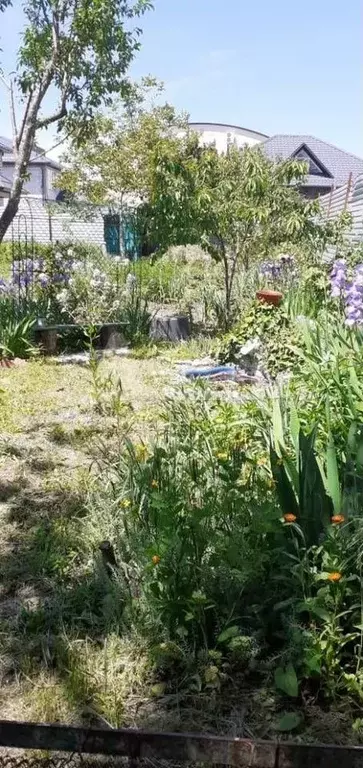 Дом 16 м на участке 6 сот. - Фото 1