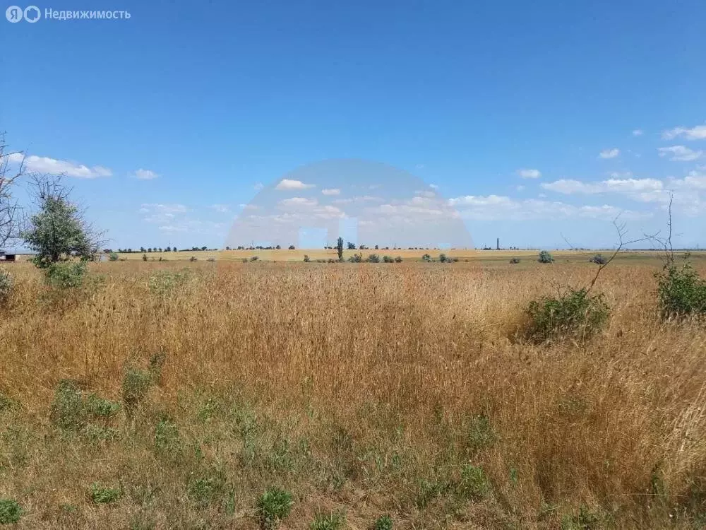 Участок в Орехово, Восточная улица (41 м) - Фото 2