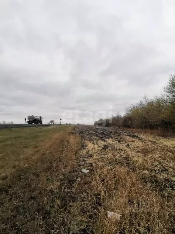 Участок в Воронежская область, Нижнедевицкий район, Верхнетуровское ... - Фото 1