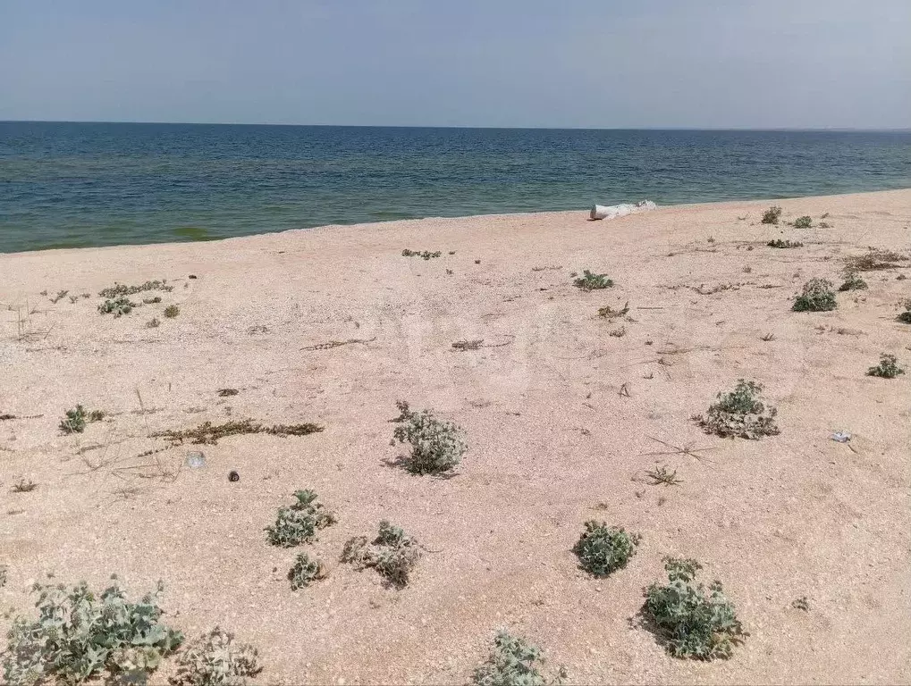 Участок 7,5 сот. (личное подсобное хозяйство (лпх)) - Фото 0