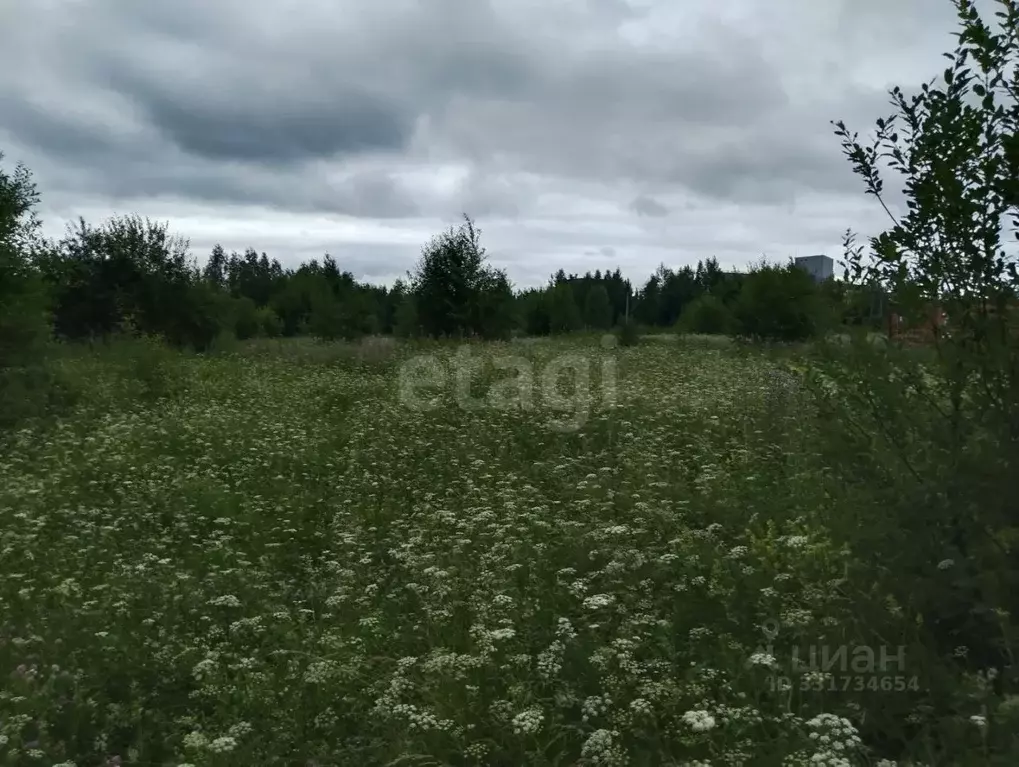 Участок в Свердловская область, Нижний Тагил Майская ул., 12 (17.5 ... - Фото 1