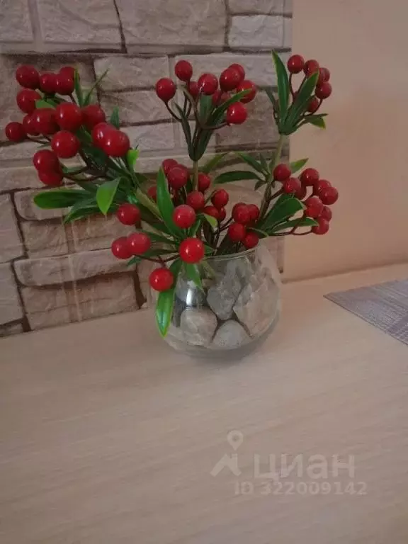 1-к кв. Тюменская область, Тюмень ул. 50 лет ВЛКСМ, 13к2 (28.0 м) - Фото 2