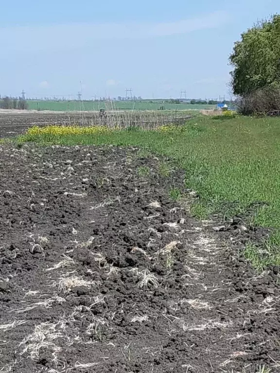 Участок в Краснодарский край, Анапа муниципальный округ, Уташ хут.  ... - Фото 1