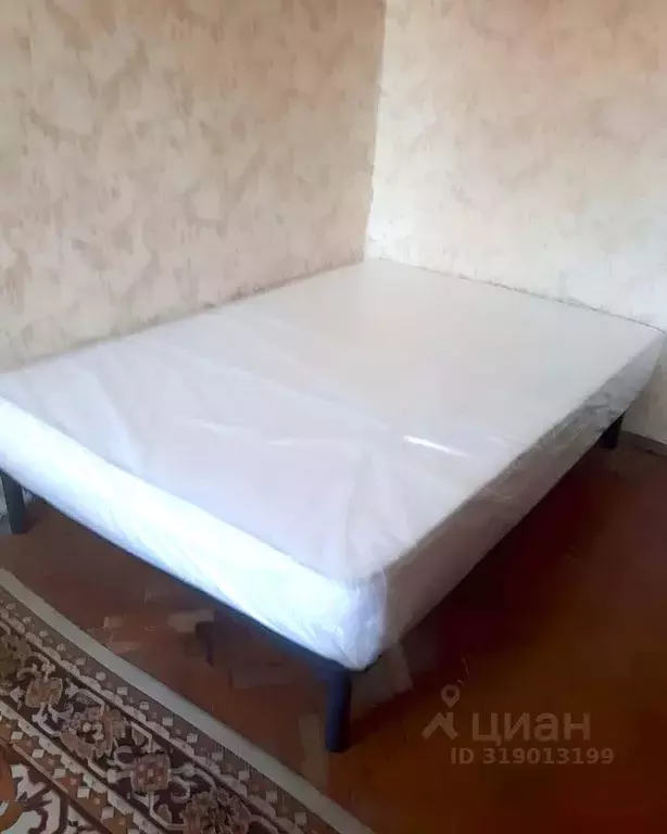 Комната Санкт-Петербург Курская ул., 31 (16.0 м) - Фото 0