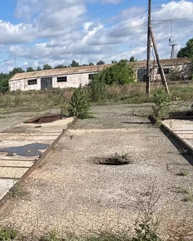 Помещение свободного назначения в Алтайский край, Камень-на-Оби ... - Фото 1