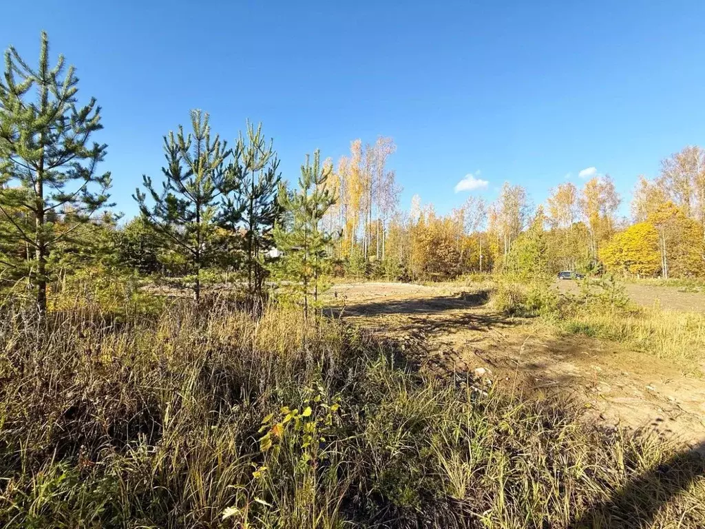 Участок в Ленинградская область, Всеволожский район, Куйвозовское ... - Фото 0