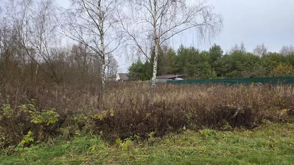 Участок в Московская область, Домодедово городской округ, д. Борисово  ... - Фото 1