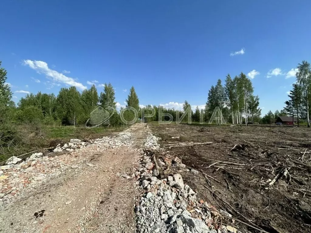 Участок в Тюменская область, Нижнетавдинский район, Здоровье-3 СТ ул. ... - Фото 1
