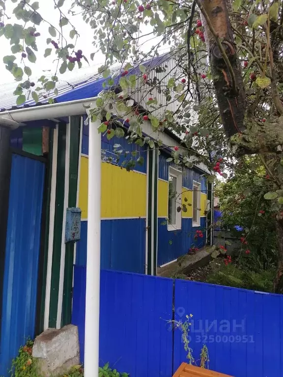 Дом в Красноярский край, Минусинский муниципальный округ, с. Большая ... - Фото 1