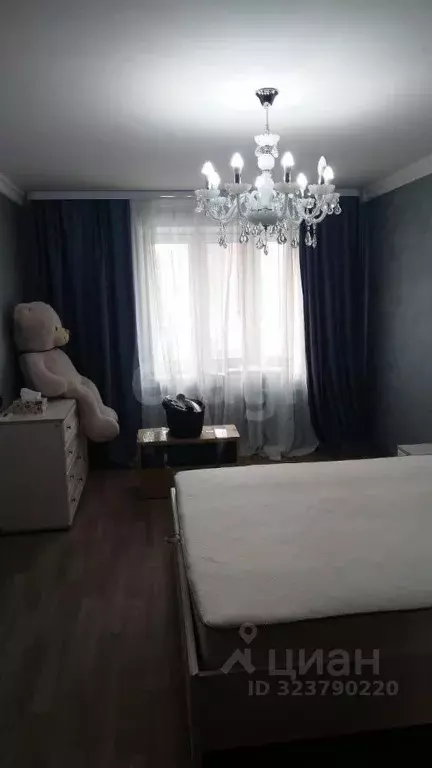 2-к кв. Амурская область, Благовещенск Амурская ул., 270 (70.5 м) - Фото 1