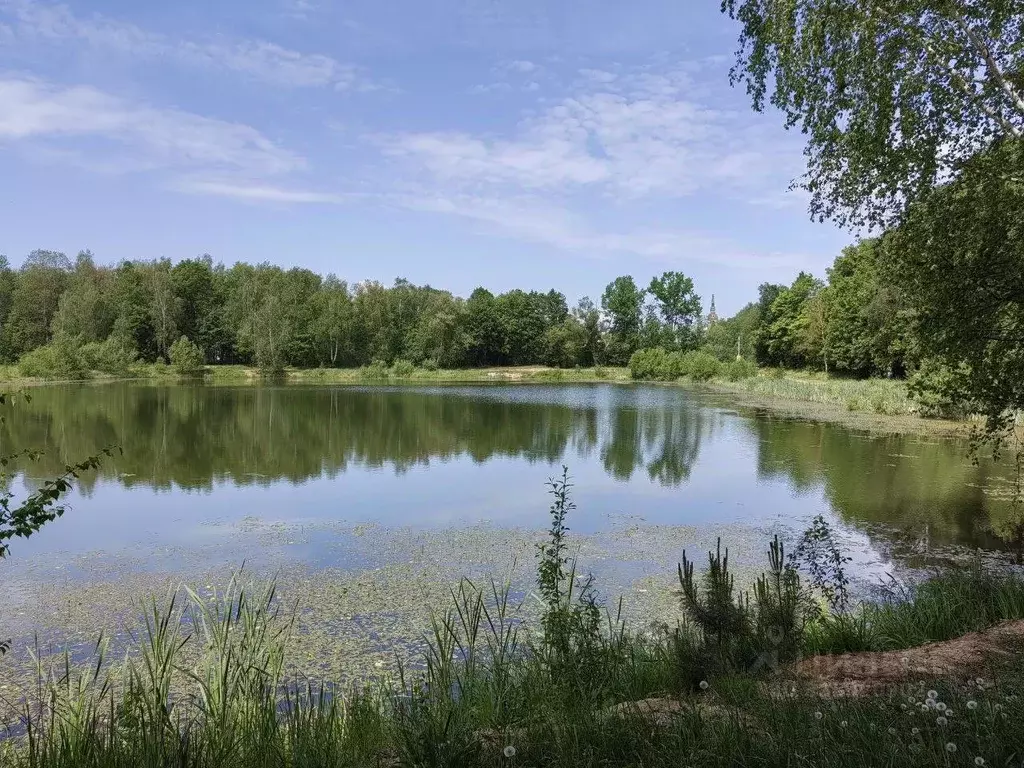 Участок в Московская область, Серпухов городской округ, д. ... - Фото 1