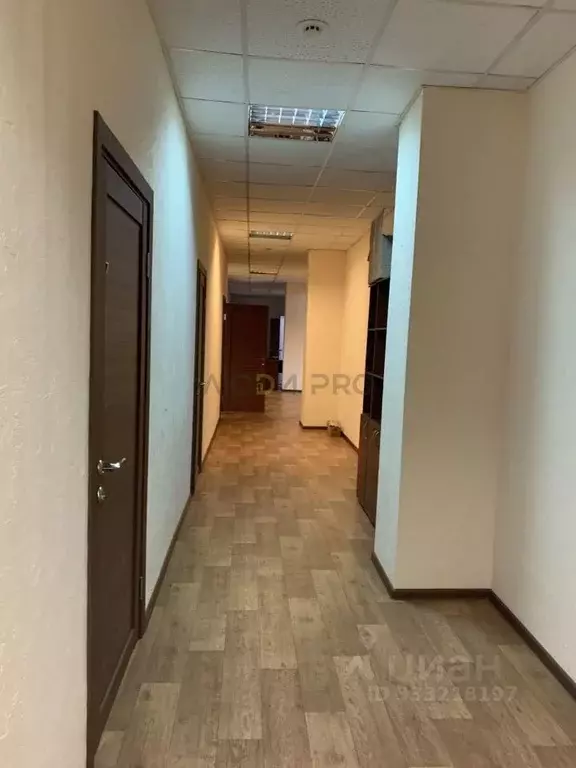 Офис в Саратовская область, Саратов ул. Имени Е.И. Пугачева, 10 (16 м) - Фото 2