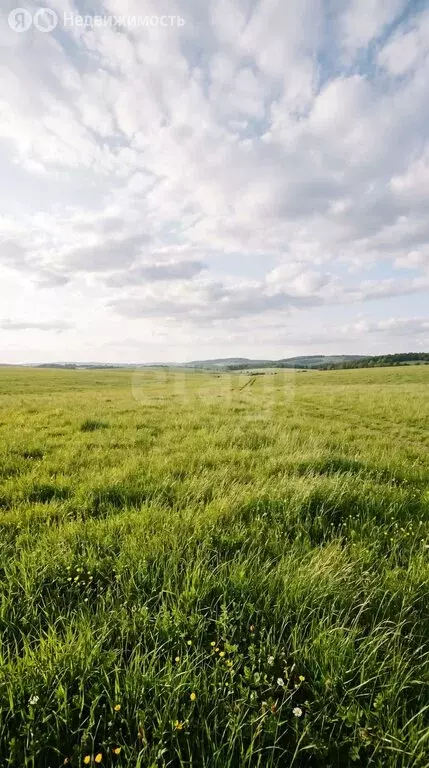 Участок в село Онгудай, Радужная улица (10.96 м) - Фото 1