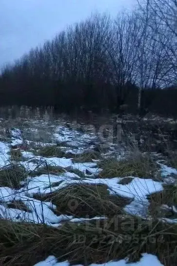Участок в Вологодская область, пос. Лесково  (10.0 сот.) - Фото 1