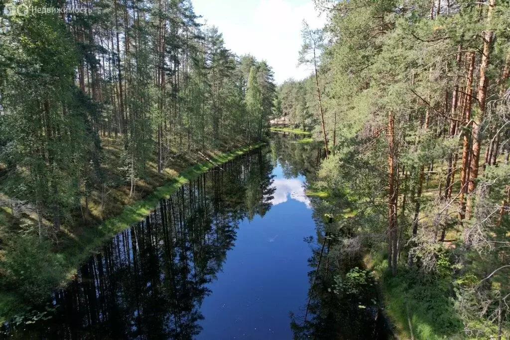 Дом в Выборгский район, Рощинское городское поселение, посёлок ... - Фото 0