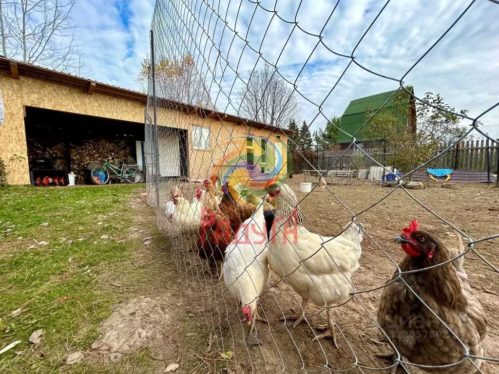 Дом в Ивановская область, Ивановский район, Беляницкое с/пос, ... - Фото 2