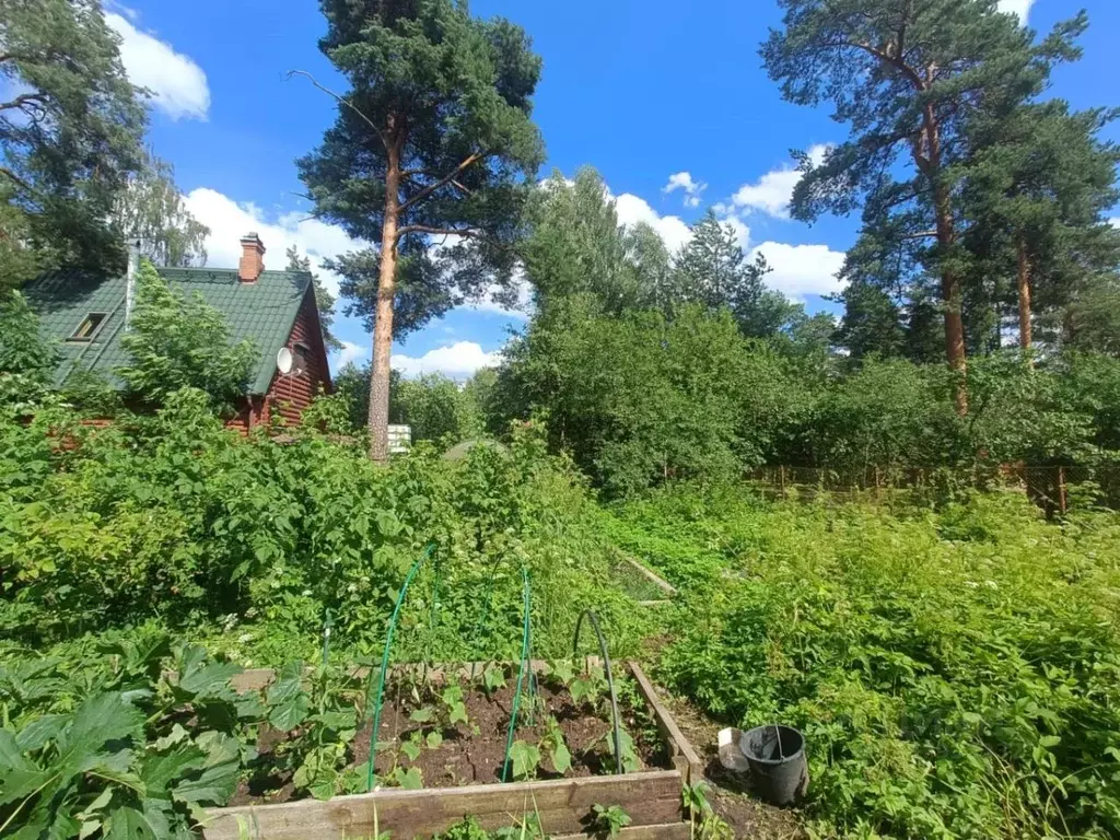 Дом в Ленинградская область, Гатчинский район, Вырица городской ... - Фото 0