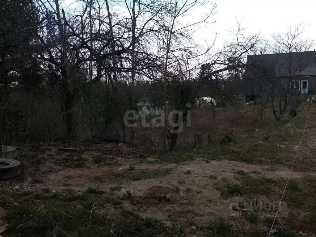 Участок в Санкт-Петербург, Санкт-Петербург, Красное Село Дружба СНТ, ... - Фото 0