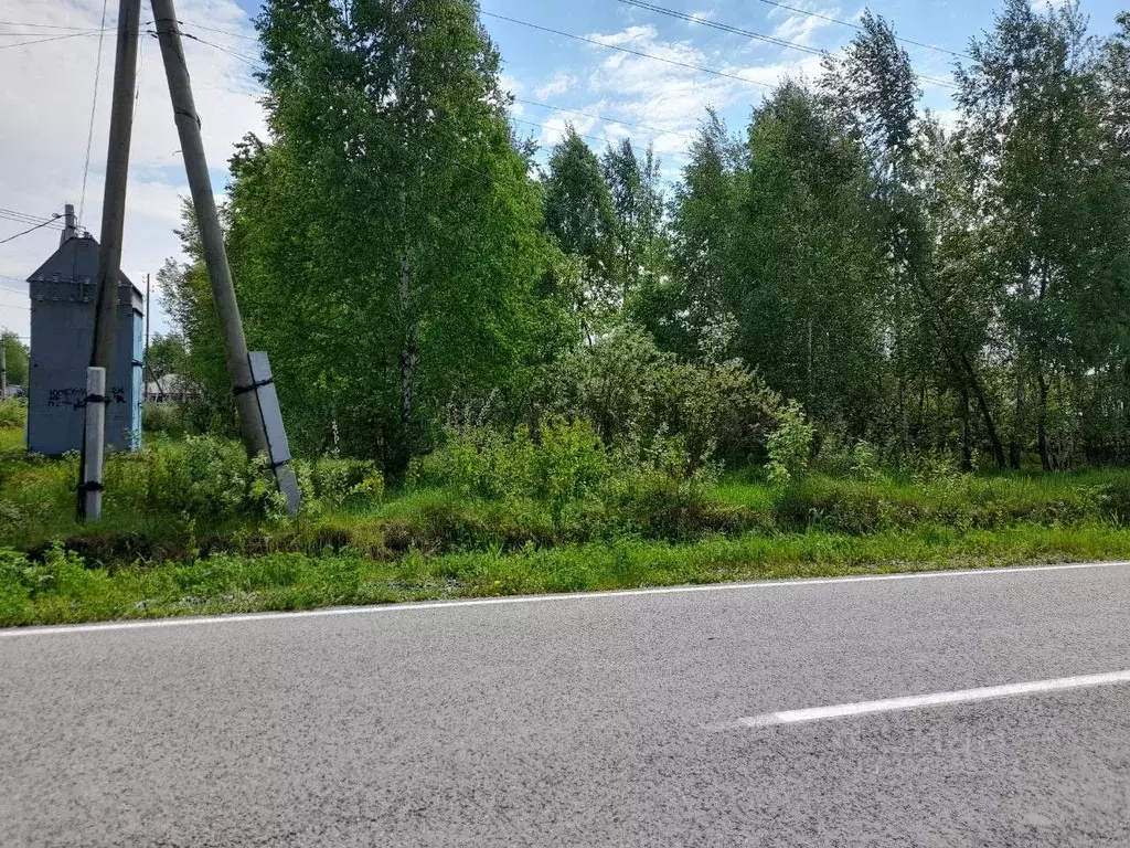 Участок в Тюменская область, Ялуторовск ул. Червинского, 120 (6.0 ... - Фото 1