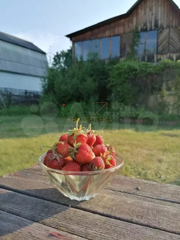 Сот Колос Купить Дачу