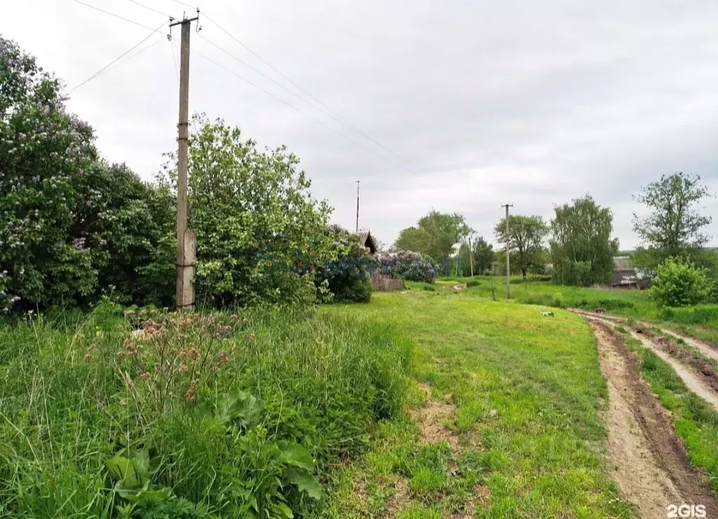 Дом в Нижегородская область, Лысковский район, с. Ратунино Тополиная ... - Фото 2