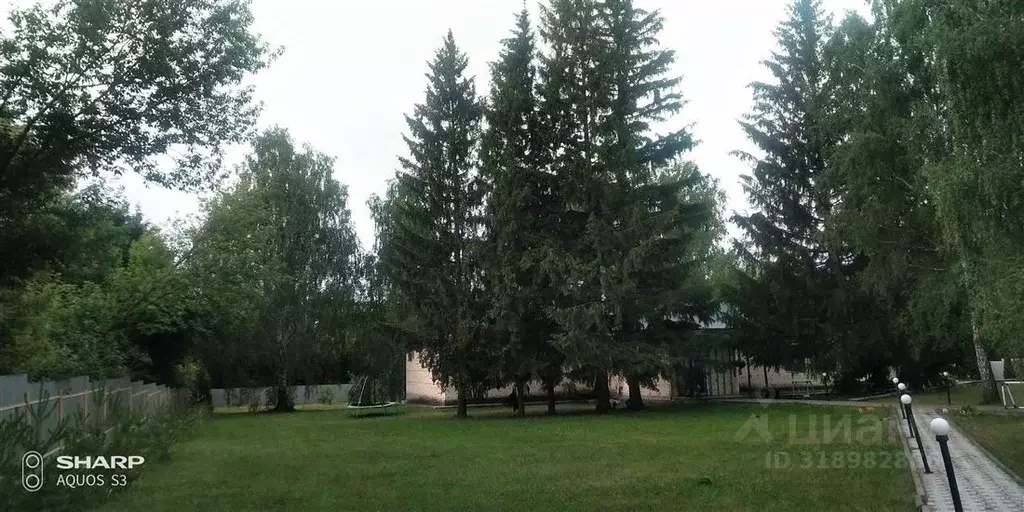 Дом в Липецкая область, Лев-Толстовский район, Новочемодановский ... - Фото 0