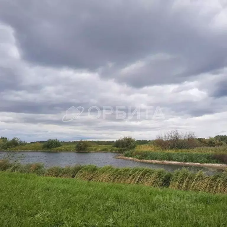 Участок в Курганская область, Куртамышский муниципальный округ, с. ... - Фото 2