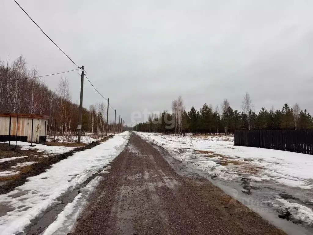Участок в Курганская область, Шадринский муниципальный округ, с. Ключи ... - Фото 0