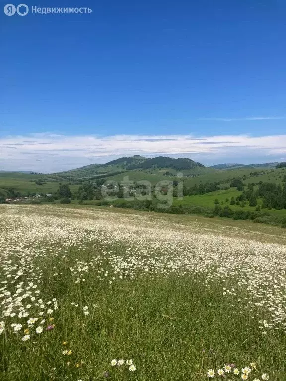 Участок в Майминский район, село Верх-Карагуж (10 м) - Фото 1