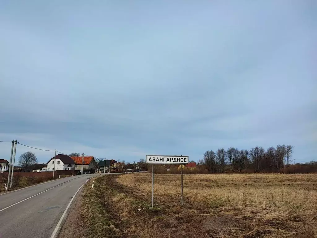 Участок в Калининградская область, Гурьевский муниципальный округ, ... - Фото 0