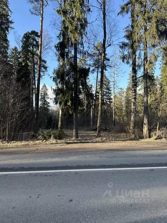 Участок в Санкт-Петербург пос. Парголово, Песочное ш., 12 (18.0 сот.) - Фото 1