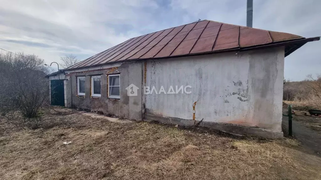 Дом в Липецкая область, Добровский муниципальный округ, с. Борисовка ... - Фото 1