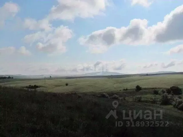 Участок в Алтайский край, Смоленский район, с. Смоленское  (4300.0 ... - Фото 1