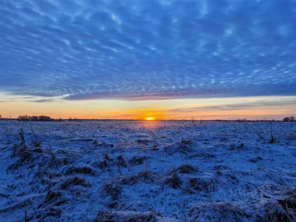 Участок в Ленинградская область, Ломоносовский район, Оржицкое с/пос, ... - Фото 2