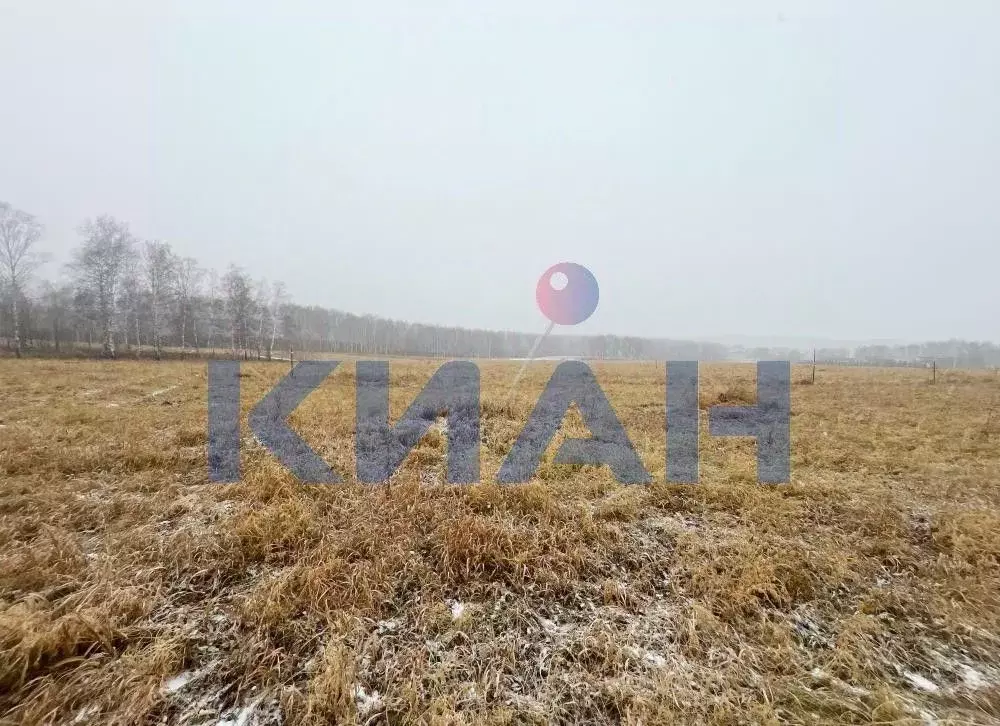 Участок в Красноярский край, Емельяновский муниципальный округ, Имени ... - Фото 2