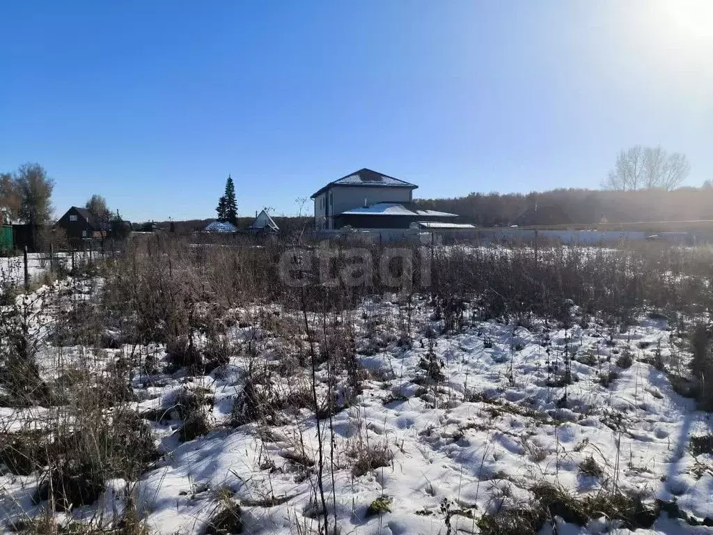 Участок в Новосибирская область, Новосибирский район, Толмачевский ... - Фото 1