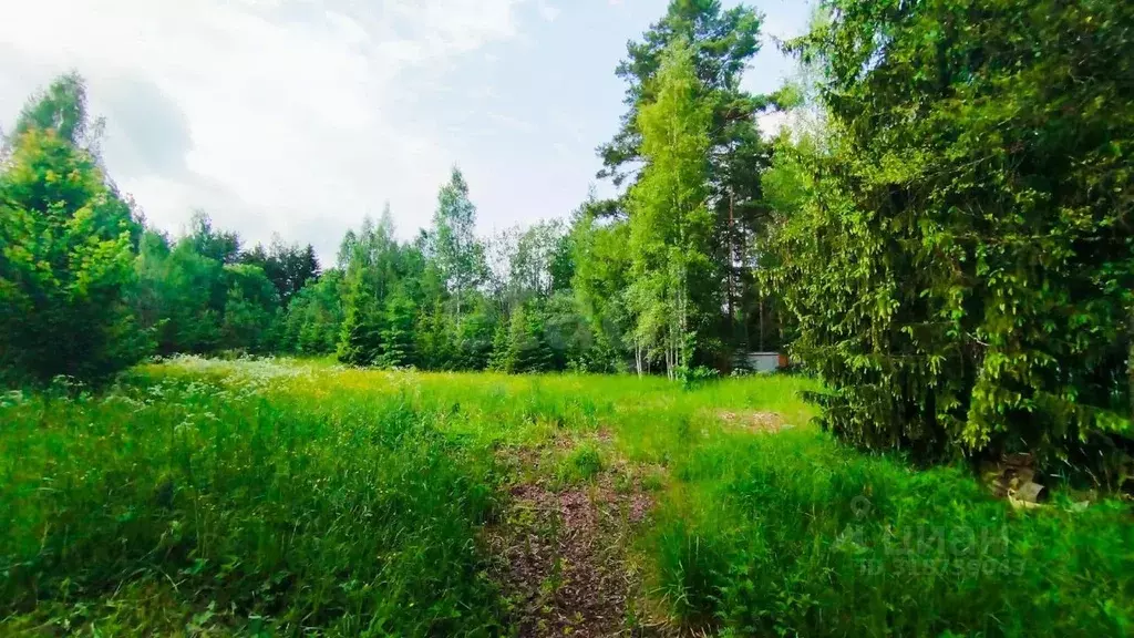 Участок в Ленинградская область, Киришский район, Пчевжинское с/пос, ... - Фото 0