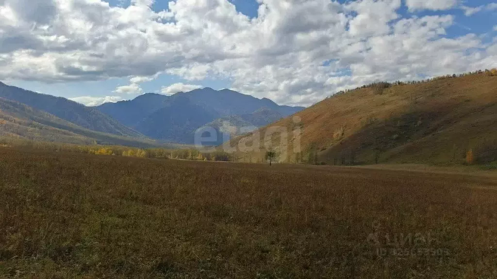 Участок в Алтай, Усть-Канский район, с. Усть-Кан  (13900.0 сот.) - Фото 2