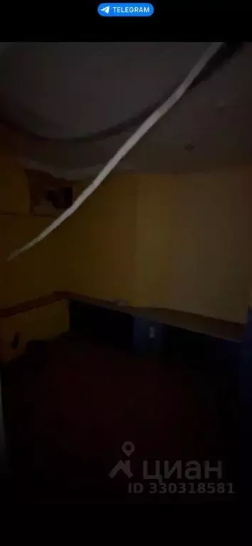 Помещение свободного назначения в Ленинградская область, Выборг ... - Фото 1