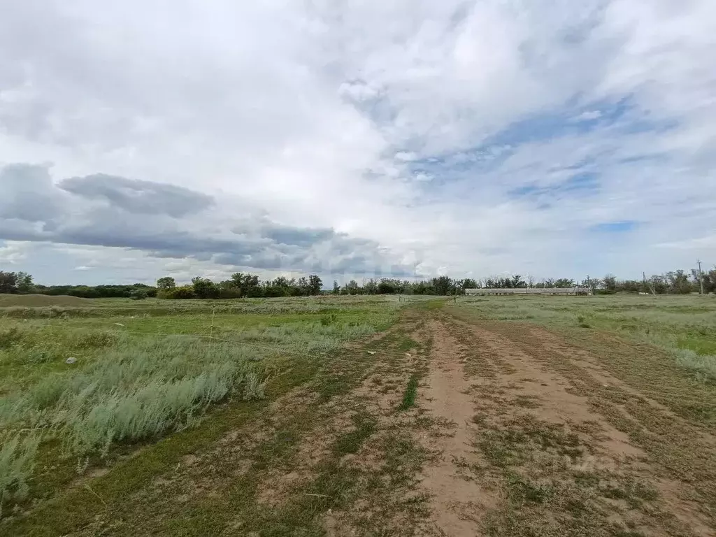 Участок в Оренбургская область, Оренбург городской округ, пос. ... - Фото 0