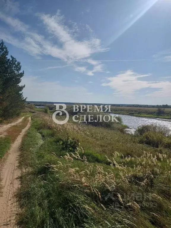 Участок в Владимирская область, Камешковский муниципальный округ, д. ... - Фото 2