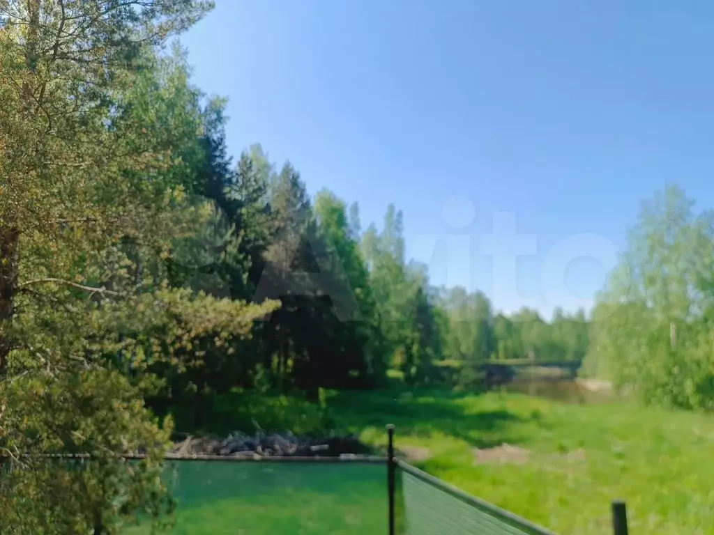 Участок 10 сот. (СНТ, ДНП) - Фото 0